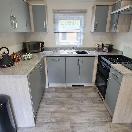 The Ceredigion - Plot 26, Woodlands Lodge Retreat, New Quay, West Wales Llanina Eksteriør bilde