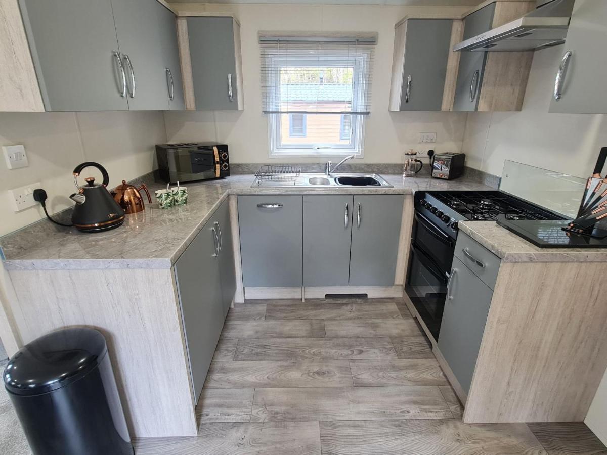 The Ceredigion - Plot 26, Woodlands Lodge Retreat, New Quay, West Wales Llanina Eksteriør bilde